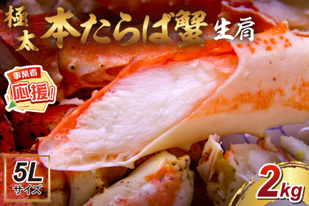 y22kg̋ɑ5LTCYzԐlCI {ΊI  2kgyӂ邳Ɣ[3.0zy087B-037z