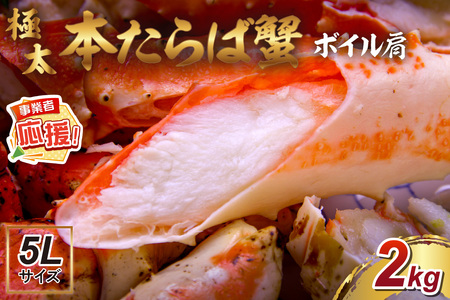 y22kg̋ɑ5LTCYz{ΊI {C 2kgyӂ邳Ɣ[3.0zy087B-038z