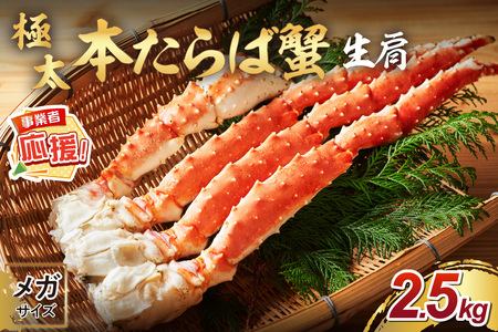 [1肩約2.5kgの超極太10L以上メガサイズ]本たらば蟹 生肩 約2.5kg[ふるさと納税3.0][087B-039]