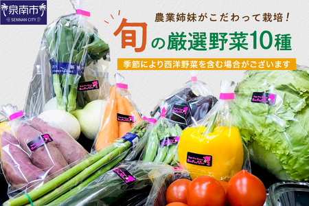 農業姉妹がこだわって栽培!旬の厳選野菜10種[024D-012]