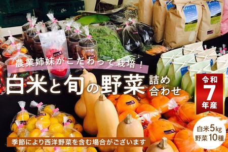 農業姉妹がこだわって栽培!白米5kgと旬の厳選野菜10種[024C-001]