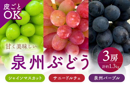 泉州ぶどう[皮ごとOK]泉州パープル シャインマスカット サニードルチェ 各1房セット[065C-004]