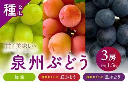 泉州ぶどう 大粒大房の雄宝とおまかせ2種の3房セット[065C-006]