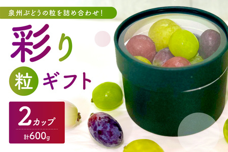 泉州ぶどう[彩り粒ギフト]色とりどりのぶどうのギフト ー彩珠ー[065D-022]
