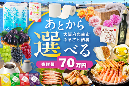 あとからセレクト[ふるさとギフト]70万円[119A-008]