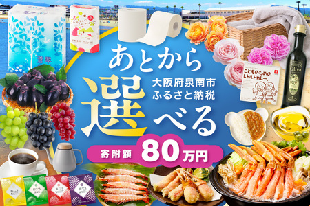 あとからセレクト[ふるさとギフト]80万円[119A-009]