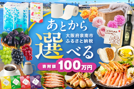 あとからセレクト[ふるさとギフト]100万円[119A-011]