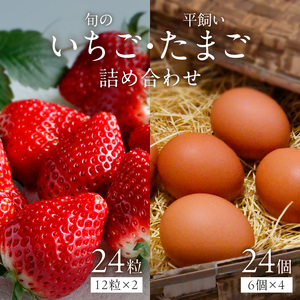 [2026年12月下旬〜2027年5月発送予定]泉南市産 旬のいちごと平飼いたまごの詰め合わせ[配送不可地域:北海道・沖縄・離島][015D-026-2027]