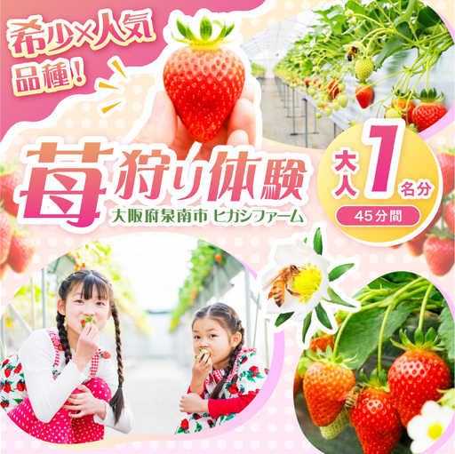 [見つけて、摘んで、食べて!]希少いちご「ほしうらら」を摘みに行こう いちご狩り 体験チケット(大人1名)[121E-001]
