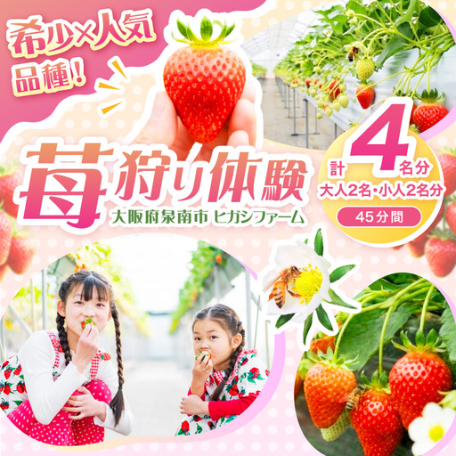 [見つけて、摘んで、食べて!]希少いちご「ほしうらら」を摘みに行こう いちご狩り 体験チケット(大人2名・小人2名)[121D-002]
