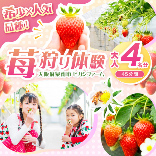 【見つけて、摘んで、食べて！】希少いちご「ほしうらら」を摘みに行こう いちご狩り 体験チケット（大人4名）【121C-001】