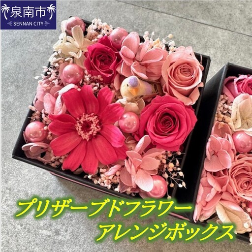 プリザーブドフラワーアレンジボックス(ジニア)[072D-140]