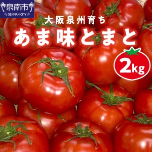 大阪泉州育ち あま味とまと 2kg 野菜 トマト 生鮮 フルーツトマト 夏野菜 食料品 水耕栽培 中玉 ふるさと納税 人気 新鮮【051D-009】