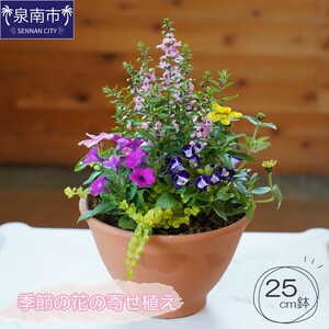 季節の花の寄せ植え 25cm鉢[005D-005]