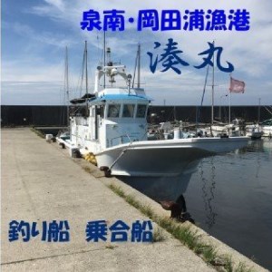 [ 泉南 ・ 岡田浦漁港 ] 釣り船 湊丸 午前便・午後便 1名様 体験 泉州沖 船釣り アジ メバル 釣り船 体験チケット 釣り 乗合船 岡田浦漁港 レジャー 趣味 フィッシング[049D-002]