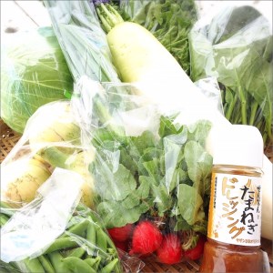 地元野菜の美味いろどり野菜セット 100サイズ箱 ドレッシング付[015D-012]