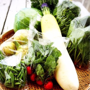 直売所の泉南産旬野菜セット詰め合わせ 100サイズ箱[015E-009]