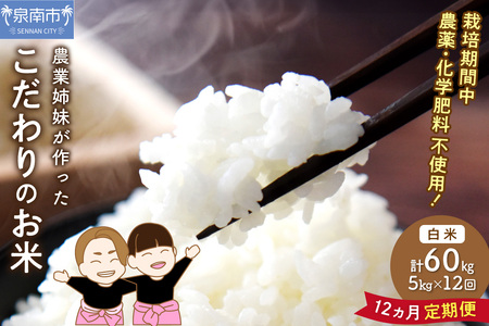 _Ǝoč͔|Î 5kg 1Nցy024A-012z