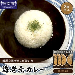 濃厚海老出汁 海老元カレー[黒](中辛)3個セット(レトルト 常温 簡単調理 レトルト食品 レトルトカレー かれー カレーセット セット カレー 人気カレー 詰め合わせ 加工食品 お手軽 おすすめ 人気 泉南市 海老だし 濃厚海老だし)[078E-013]