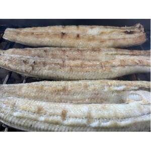 yYȂzTCY140g -170g@Y@10 YΊĂ(^t)yzsnFzy1659344z