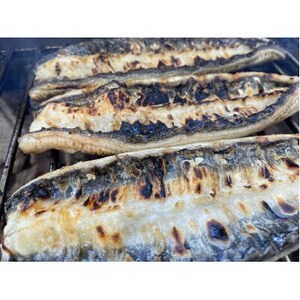 yYȂzTCY140g -170g@O͈FY@10@YΊĂ(^t)yzsnFzy1659364z