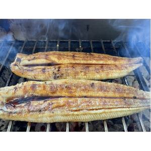 yYȂzʏTCY120g-140g@O͈FY@4@YΊĂ(^t)yzsnFzy1659372z