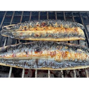 yYȂzTCY140g -170g@O͈FY@4Zbg@YΊĂ(^t)yzsnFzy1659377z