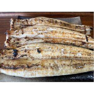 yYȂzTCY140g -170g@O͈FY@6Zbg@YΊĂ(^t)yzsnFzy1659383z