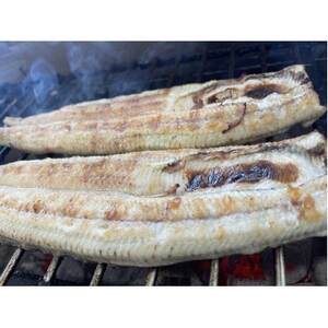 yYȂzTCY180g-220g@O͈FY@2@YΔĂyzsnFzy1659392z