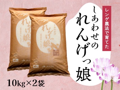 しあわせのれんげっ娘 (精米) 10kg×2|お米 おこめ 米 コメ 白米 ご飯 ごはん おにぎり お弁当 [0262]