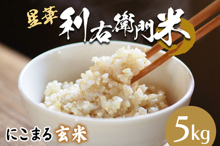 星華 利右衛門米 にこまる 玄米 5kg|米 こめ コメ ごはん ご飯 [0302]