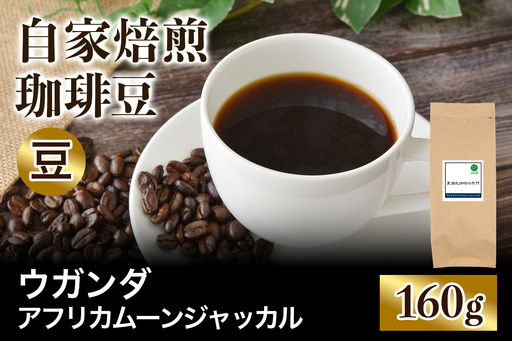 注文後に焙煎★自家焙煎珈琲豆 ウガンダ AFRIKAN MOON JACKAL ルウェンゾリ 中浅煎り 160g[豆のまま] [0407]