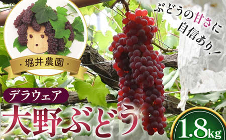 No.252 【口コミで広まった格別の甘さ】堀井農園大野ぶどう（デラウェア）1.8kg