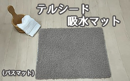 No.253 テルシード 吸水マット（バスマット）