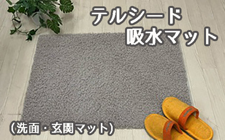 テルシード 吸水マット(洗面・玄関マット)