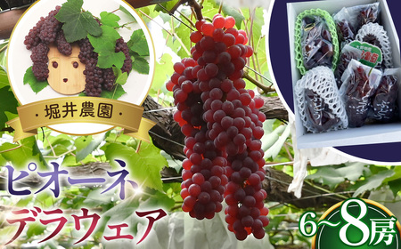 No.311 ピオーネ2房とデラウエアの詰め合わせ