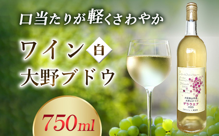 ワイン [大野ぶどう] / 白ワイン 国産ワイン デラウエアワイン 日本ワイン 甘口ワイン フルーティーワイン 軽やかな白ワイン 飲みやすい さわやかな 食事に合う 家飲み ギフト 国産ぶどう デラウェア ボトル 大阪府 No.370