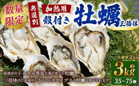 [数量限定][無選別]加熱用 殻付き牡蠣 約3kg (35〜75) 三倍体 ※通常:約2kg(24〜50個) 三倍体/牡蠣 かき カキ 生ガキ 生牡蠣 加熱用 調理用[7月以降発送開始]
