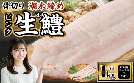  のぞみ水産 潮氷締め（野〆） 骨切り ピンク生鱧 約1kg 寒ハモ 【2025年12月上旬～2026年2月上旬発送予定】 鱧 はも ハモ 新鮮 冷蔵