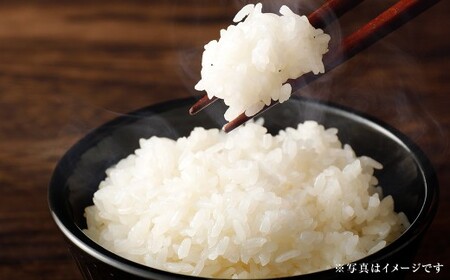 [令和7年産] [はたなかさんち] 泉州産 ヒノヒカリ 5kg×1袋 [2025年11月上旬ー12月下旬発送予定] お米 米 白米 ごはん 国産
