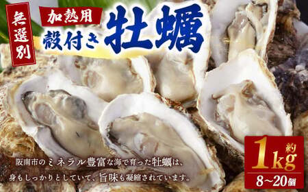 [無選別]加熱用 殻付き牡蠣 約1kg(8〜20個)[2026年1月下旬-2026年3月下旬発送]| 牡蠣 かき カキ 生ガキ 生牡蠣 加熱用 調理用