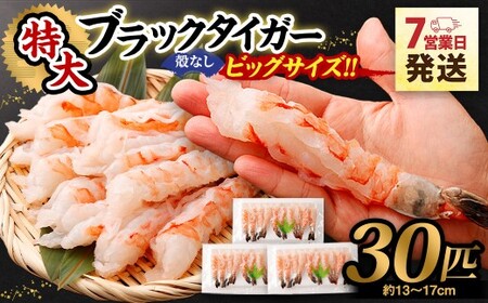 特大 ブラックタイガー 殻なし ビッグサイズ (30匹) [入金確認後7営業日以内に発送] 剥き海老 剥きえび むき海老 むきえび むきエビ むき身 海鮮 海産物 魚介類 甲殻類 海の幸 疲労回復 大阪府 阪南市