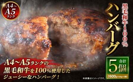 �y12�����{�ȍ~���������z�yA4�`A5�����N�̍��јa��100%�z �n���o�[�O 120g×5�� �i�v600g�j �^ ���јa�� ���јa�� �a�� ���Y�� ���� ���� �� ���{ ���s �Ⓚ