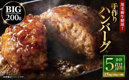 �y12�����{�ȍ~���������z���јa���g�p�I 200g��BIG����n���o�[�O 200g×5�� �i�v1kg�j �^ ���јa�� ���јa�� �a�� ���Y�� ���� ���� �� ���{ ���s �Ⓚ