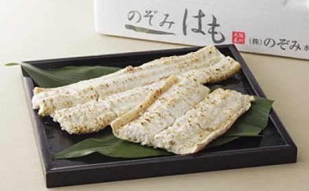 [58A0075][のぞみ水産] 白焼き ハモ [高島屋選定品]| 高島屋 選定品 ハモ 鱧 はも 天然 高級 骨切り 切り身 冷蔵 鍋 国産 しゃぶしゃぶ 新鮮 湯引き ギフト 贈り物 贈答用 大阪府 阪南市