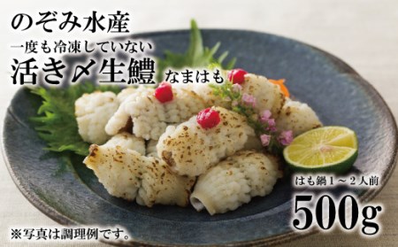 のぞみ水産 活〆 骨切り 生鱧 500g [2024年5月上旬より順次発送]