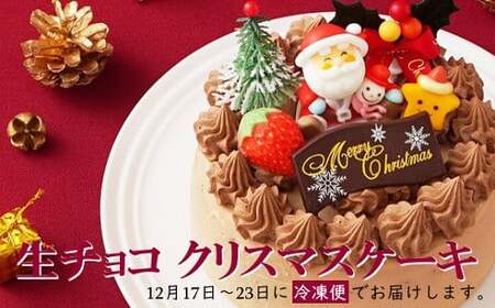 生チョコ クリスマスケーキ [2024年12月20日から23日発送予定] 5号 15cm 3〜5人向け クリスマス ケーキ チョコレート チョコ 生チョコクリーム 甘さ控えめ 冷凍