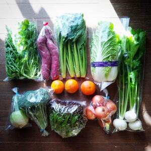 おまかせ野菜セット(2026年5月下旬〜発送予定)[配送不可地域:離島]