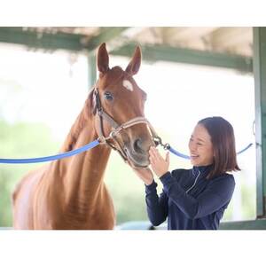 乗馬体験6回コース(30分×6回) レッスンご利用券(別途装具レンタル・保険料必要)