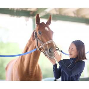 乗馬体験 (30分) 10回スキルUPコースご利用券(別途装具レンタル・保険料必要)